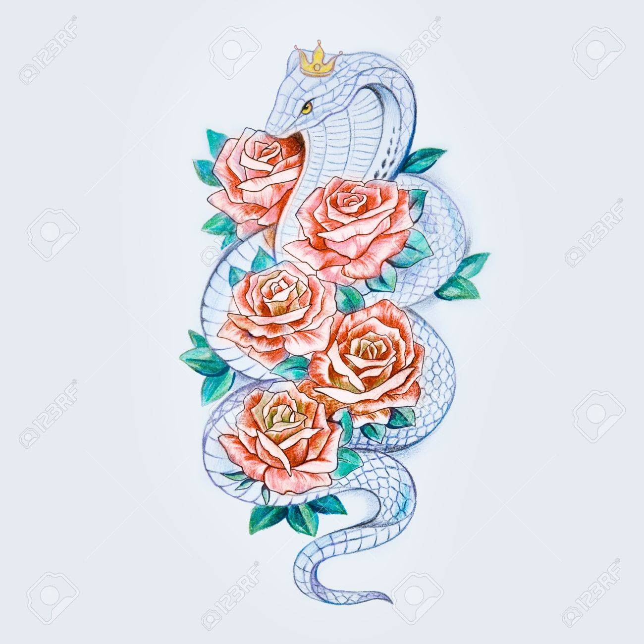 Tử vi 12 con giáp thứ Sáu ngày 2822025 Dậu hao hụt tiền Hợi tài chính bất ổn