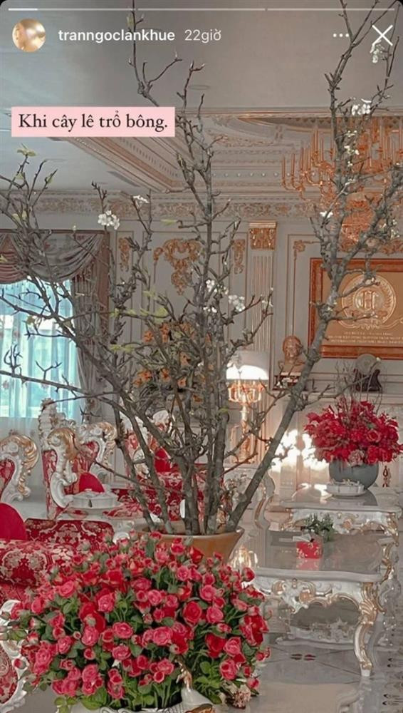 Cháu dâu gia tộc giàu có bậc nhất Việt Nam trang trí biệt thự lộng lẫy, xa hoa đúng chất tài phiệt- Ảnh 18.