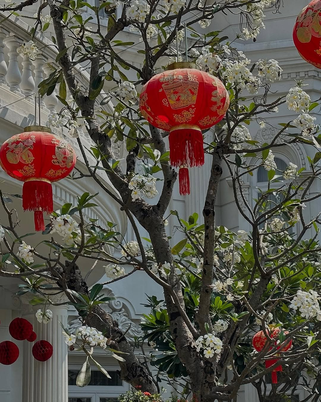 Cháu dâu gia tộc giàu có bậc nhất Việt Nam trang trí biệt thự lộng lẫy, xa hoa đúng chất tài phiệt- Ảnh 6.