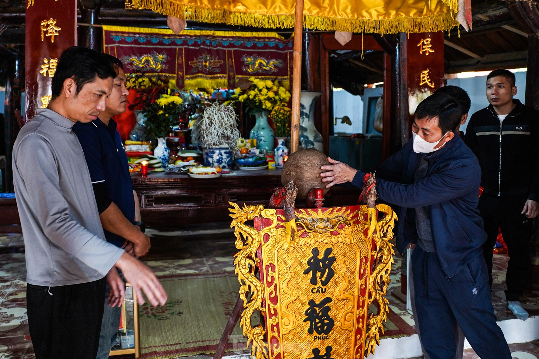 Hàng trăm trai làng băng ruộng, giẫm đạp lên nhau để cướp phết ảnh 4