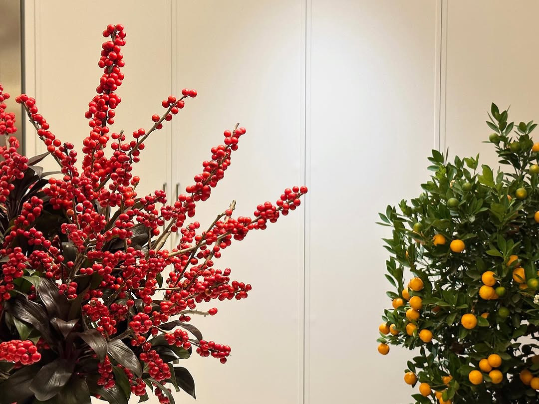 Hoa hậu Đặng Thu Thảo