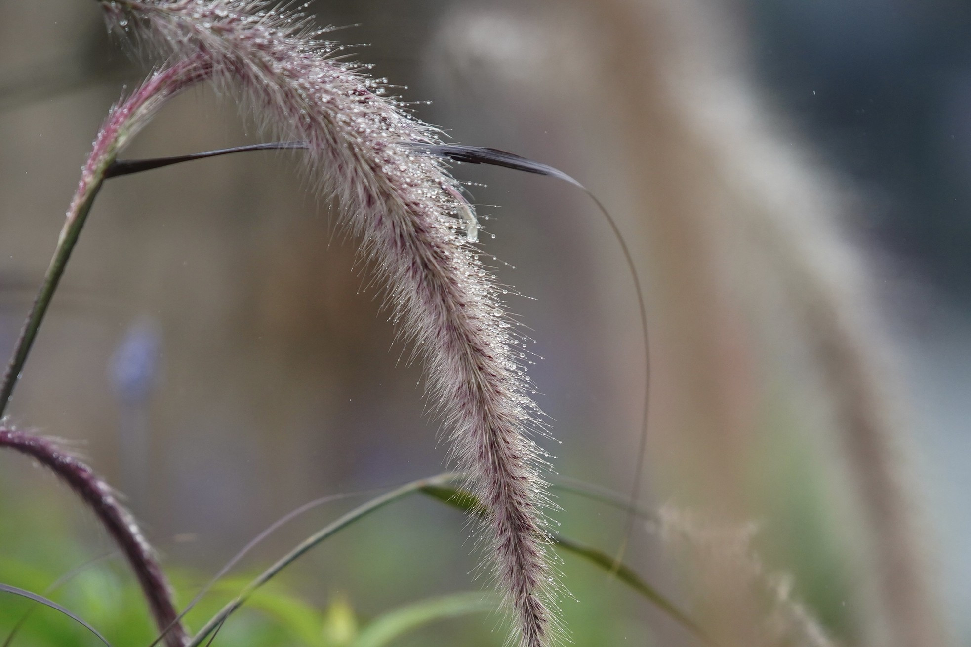 Người Hà Nội rét run trong thời tiết mưa phùn, gió bấc ảnh 18