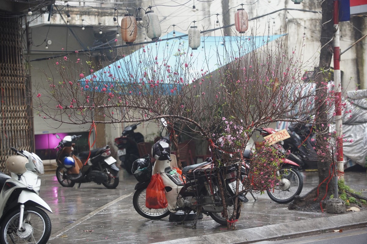 Người Hà Nội rét run trong thời tiết mưa phùn, gió bấc ảnh 27