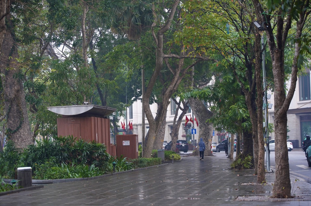 Người Hà Nội rét run trong thời tiết mưa phùn, gió bấc ảnh 13