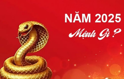 Năm 2025 mệnh gì, hợp với tuổi nào, đâu là màu sắc mang lại may mắn?