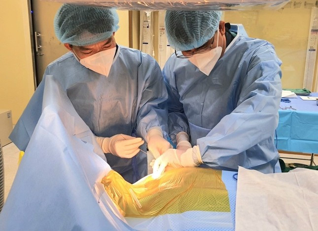 Nhịp tim chậm gần như tim rùa khiến nữ Việt kiều Mỹ đột quỵ ảnh 1