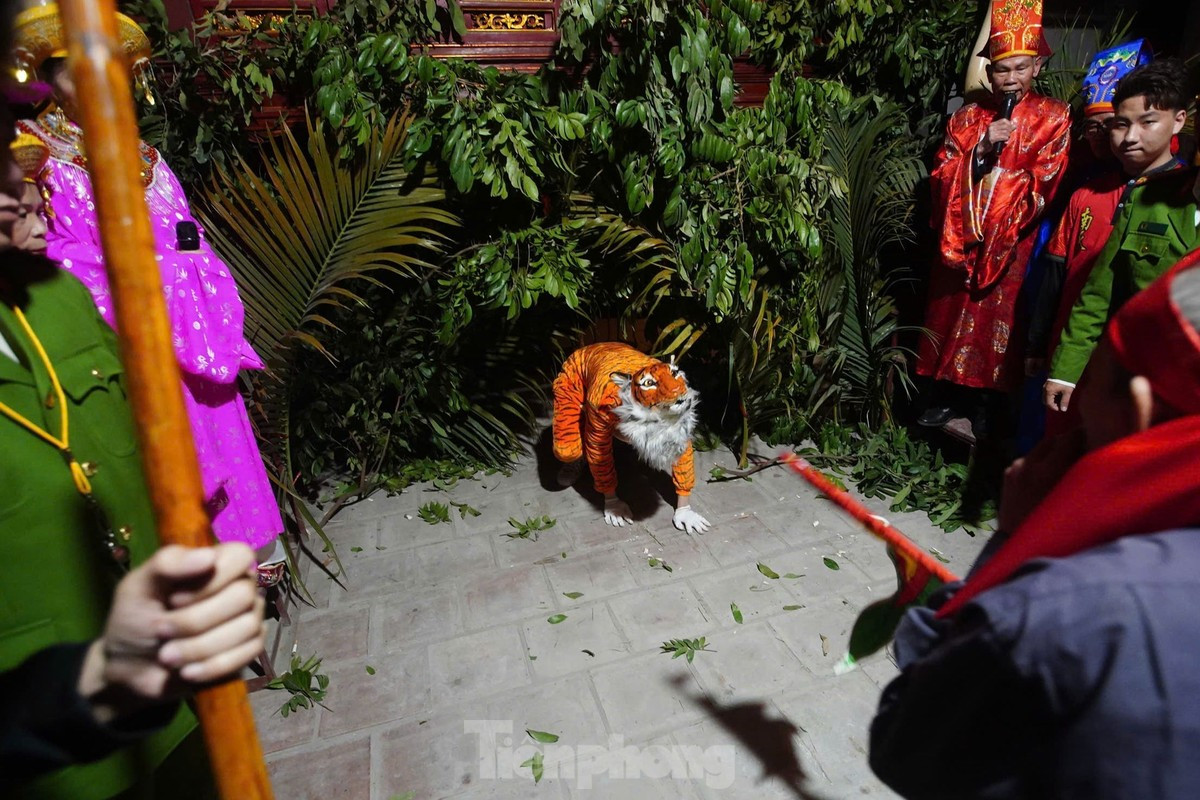 Lễ hội đánh hổ giữa đêm ở Hà Nội ảnh 3