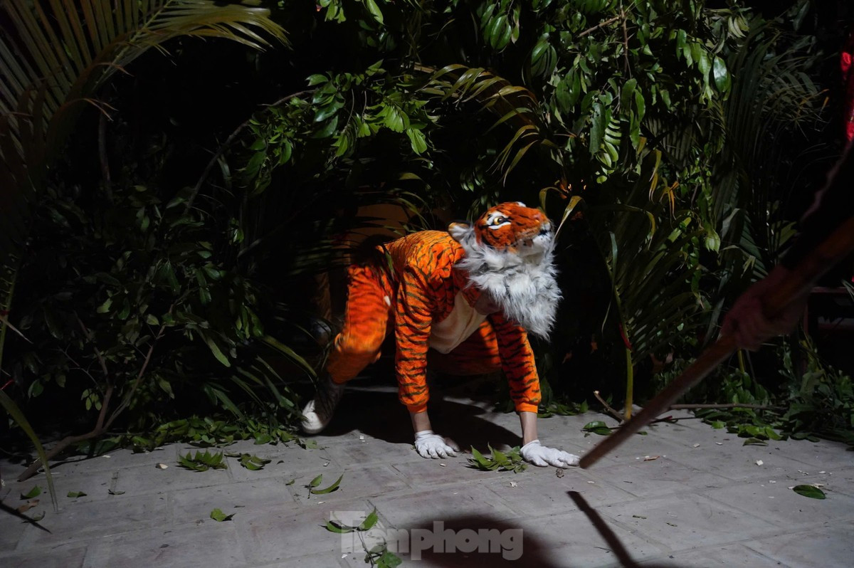 Lễ hội đánh hổ giữa đêm ở Hà Nội ảnh 2