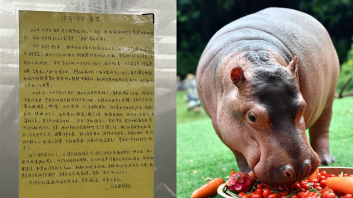 Cáo phó chia sẻ câu chuyện về sự ra đi của chú hà mã Fei Fei khiến cư dân mạng Trung Quốc xúc động.