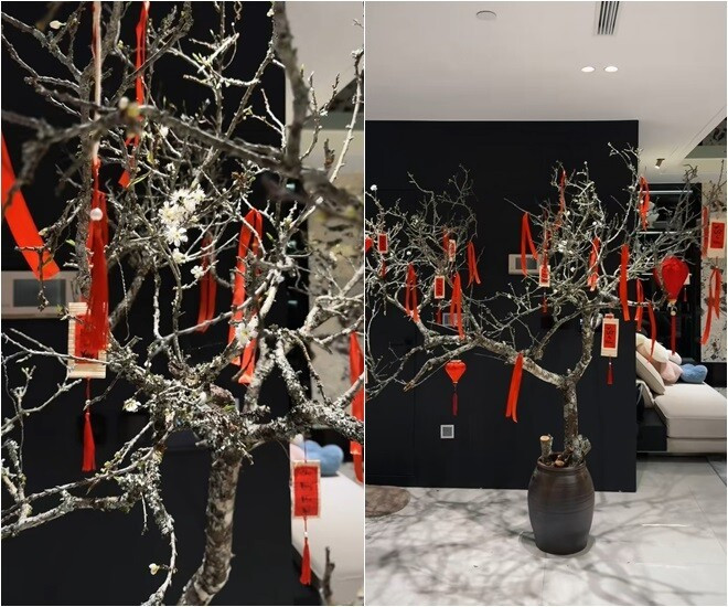 Hoa hậu Đỗ Thị Hà hé lộ cơ ngơi sang trọng ở Hà Nội, mua 