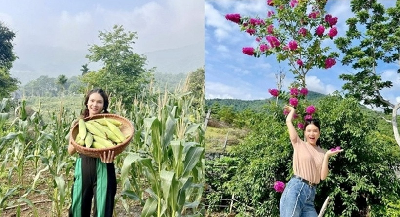 Theo chia sẻ của Phạm Phương Thảo, thổ nhưỡng và khí hậu mát mẻ giúp cây trái trong vườn phát triển nhanh, không cần tưới nước liên tục.