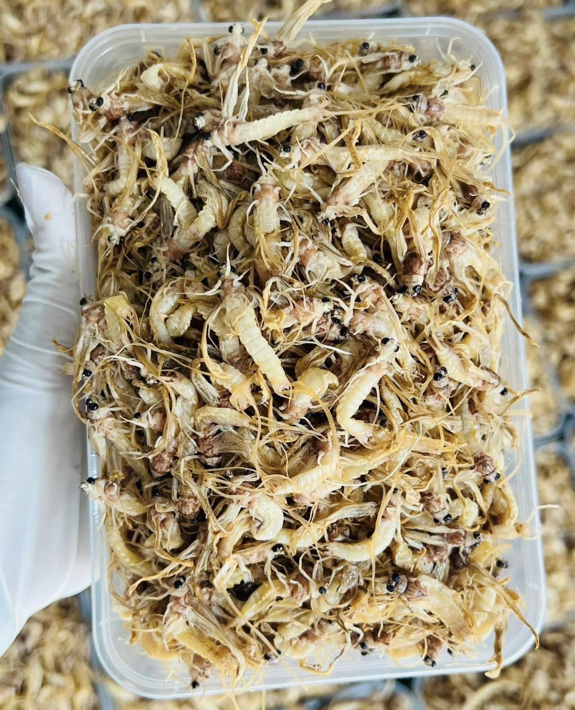 con vờ vờ Vitot Food.jpg