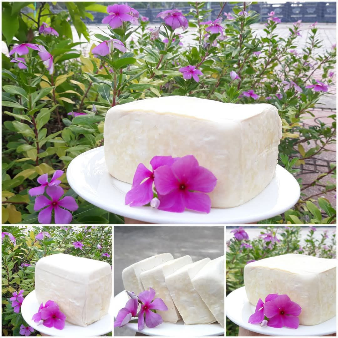 nguyễn quỳnh hương.jpg