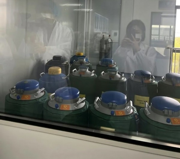 Chủ nhân chi 560 triệu để “nhân bản” chó cưng đã qua đời, kết quả rất bất ngờ ảnh 2