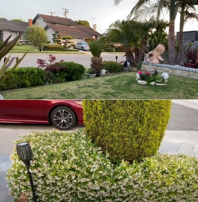 Khu vườn trước nhà trồng nhiều loại cây xanh và hoa cảnh, đem đến không gian thoáng đáng, xanh mát và gần gũi với thiên nhiên.