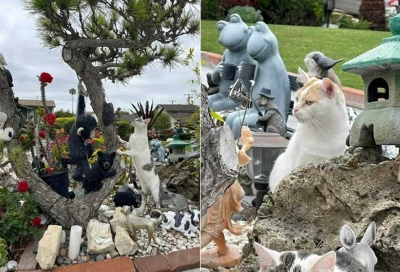 Rất nhiều tượng trang trí hình các con vật đáng yêu trên cây từ thú rừng, vật nuôi đến chim muông đem đến vẻ sinh động và nét đáng yêu cho khu vườn.