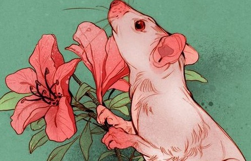 Những con giáp hay cảm thấy cô đơn dù bên ngoài có tươi cười và vui vẻ đến mấy