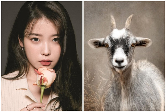 Đợi qua 19h tối ngày 16/3/2025, 3 con giáp ngồi không hưởng phúc, phú quý đại tài