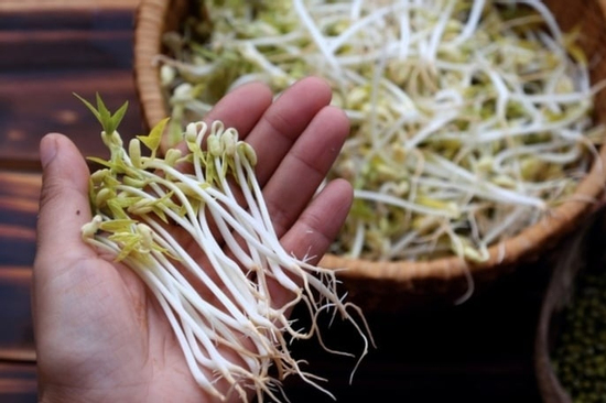 Lợi ích của giá đỗ không phải ai cũng biết