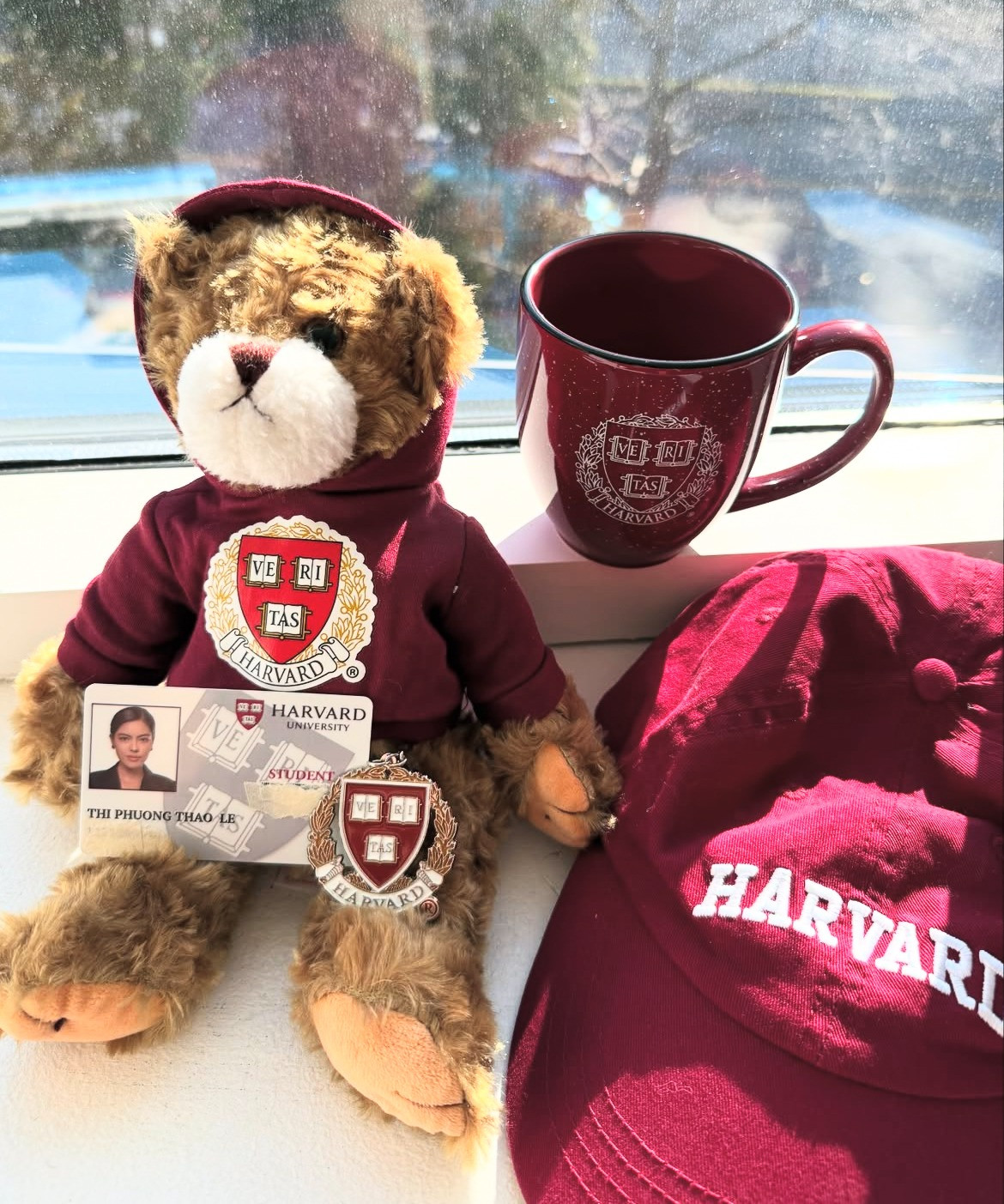 Thêm một á hậu vbiz bị nghi lố học vấn thành thích ĐH Harvard chỉ là phông bạt