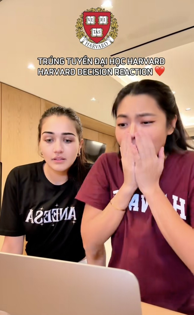 Thêm một á hậu vbiz bị nghi lố học vấn thành thích ĐH Harvard chỉ là phông bạt