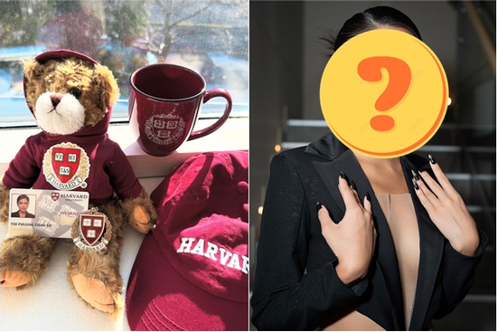 Thêm một Á hậu Vbiz bị nghi 'lố' học vấn, thành tích ĐH Harvard chỉ là phông bạt?
