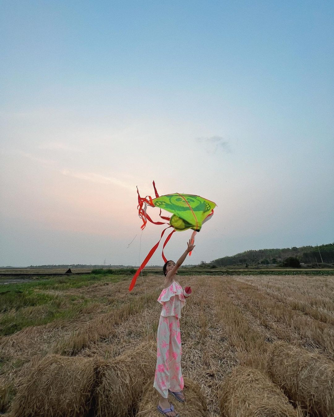 con g&aacute;i h&agrave; tăng