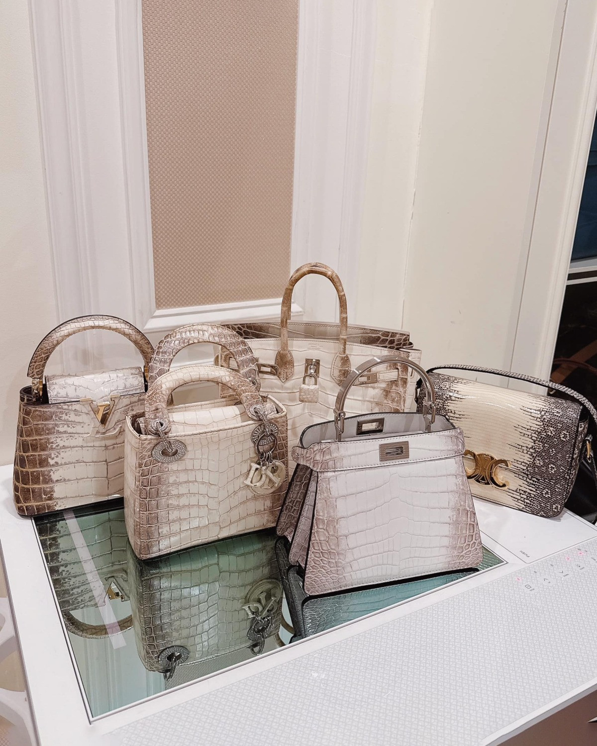 Choáng với bộ sưu tập cá sấu bạch tạng không dưới 10 tỷ đồng của Lệ Quyên