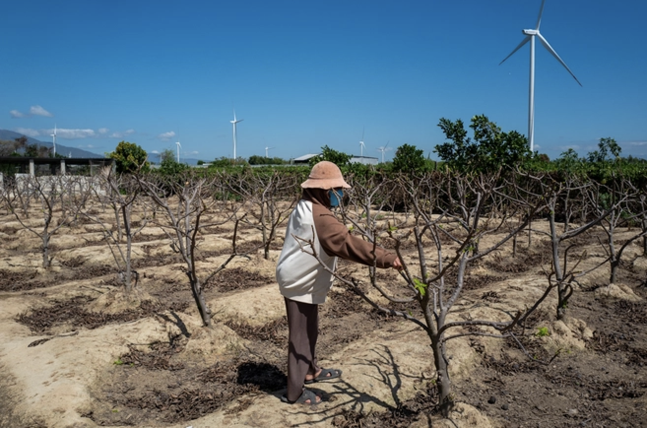 Bố mẹ ruột tiết lộ góc khuất đời tư của chị Hòa sau ồn ào từ thiện gần 17 tỷ