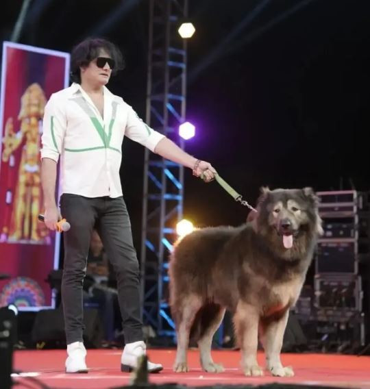 Chú chó 8 tháng tuổi giá 145 tỷ đồng, đại gia vẫn xuống tiền mua- Ảnh 2.