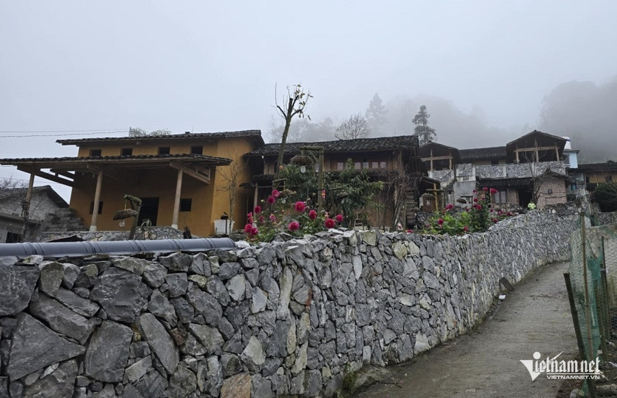 W-ảnh minh họa.jpg