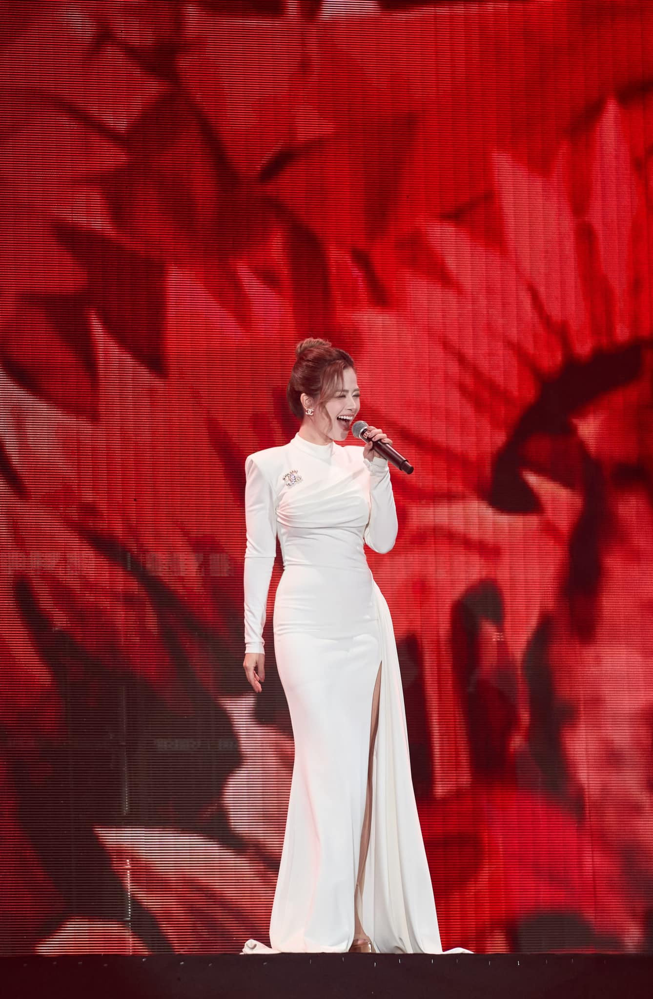 Nhan sắc Dương Hoàng Yến, nữ ca sĩ nhập viện vì liệt dây thần kinh số 7 - Ảnh 3.