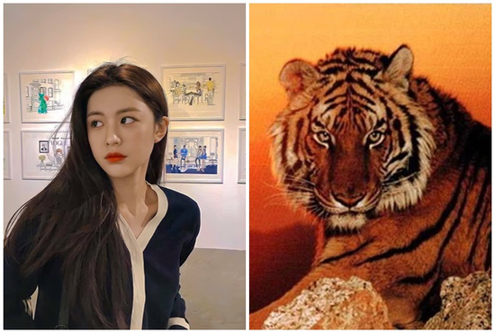 Tử vi 3 con giáp may mắn nhất thứ Sáu (28/3): Tài vận bùng nổ, làm ăn thăng hạng