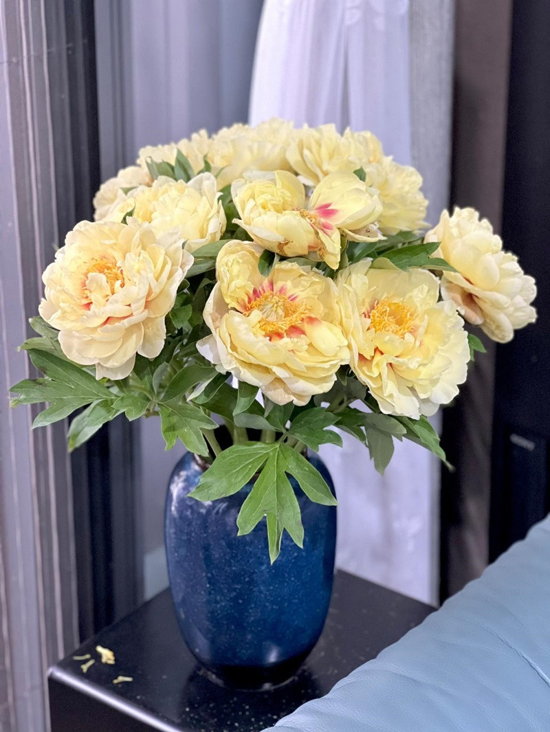 Khu vườn rực rỡ của MC Diễm Quỳnh được chồng cô mát tay chăm sóc- Ảnh 16.