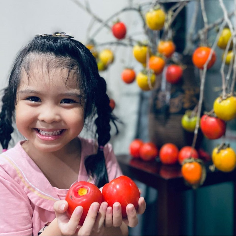 Khu vườn rực rỡ của MC Diễm Quỳnh được chồng cô mát tay chăm sóc- Ảnh 25.