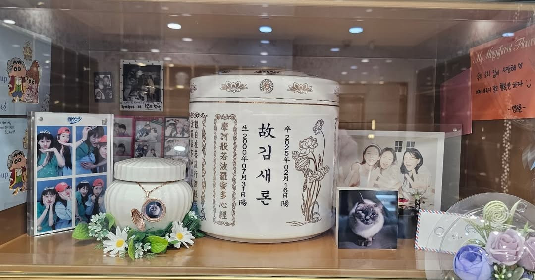 Kim Sae Ron chết không được yên ảnh 6