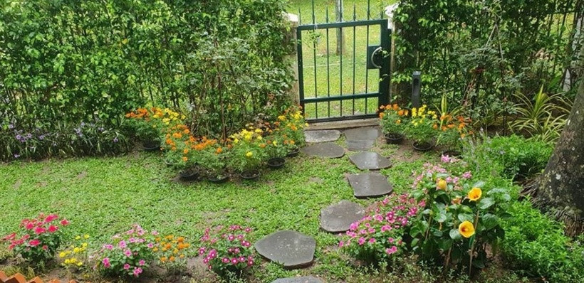 Cơ ngơi này có khoảng sân vườn xanh mướt, với nhiều hoa và cây xanh, được trang trí tỉ mẩn từng chi tiết nhỏ.