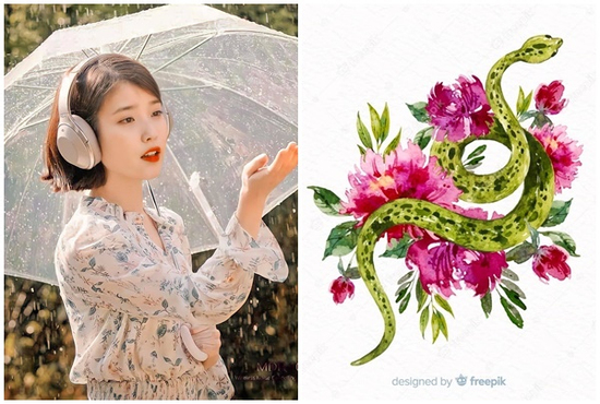 Tử vi 12 con giáp thứ Hai ngày 31/3/2025: Tỵ rơi vào tình trạng túng thiếu