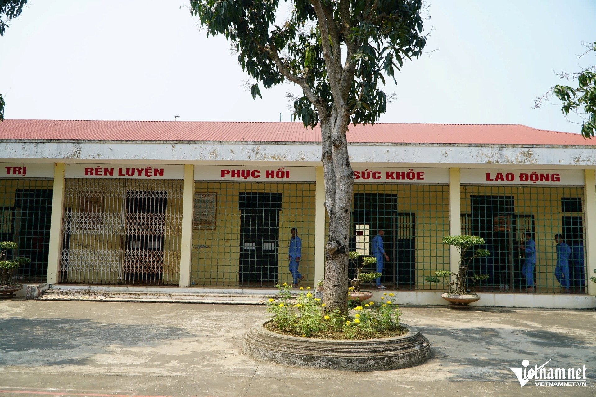 W-a3Buồn chuyện gia đình.jpg