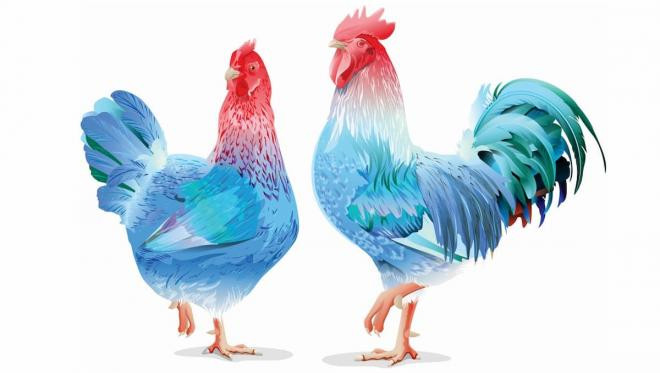 Trúng số độc đắc 2 ngày liên tiếp 53 63 3 con giáp tiền đổ vào nhà không đếm xuể