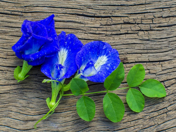 Qua đêm nay, ngày 5/6/2025, 3 con giáp xòe tay hứng HỒNG PHÚC, giàu có vô biên, không thắng lớn cũng trúng đậm, tiền luôn rủng rỉnh túi  - Ảnh 2