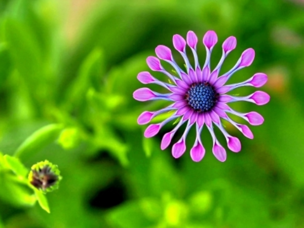 Qua đêm nay, ngày 5/6/2025, 3 con giáp xòe tay hứng HỒNG PHÚC, giàu có vô biên, không thắng lớn cũng trúng đậm, tiền luôn rủng rỉnh túi - Ảnh 1