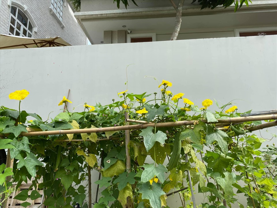 Cơ ngơi triệu đô từng là tổ ấm của Quý Bình và vợ hơn 7 tuổi