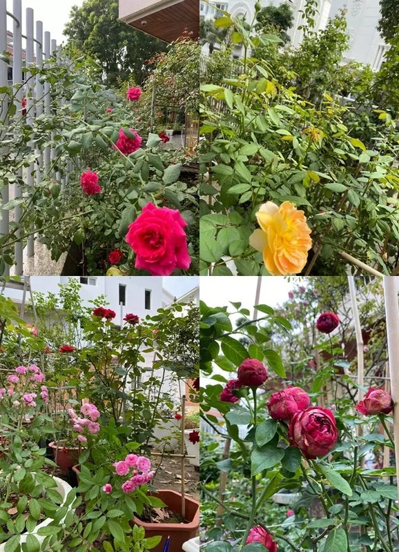 Cơ ngơi triệu đô từng là tổ ấm của Quý Bình và vợ hơn 7 tuổi