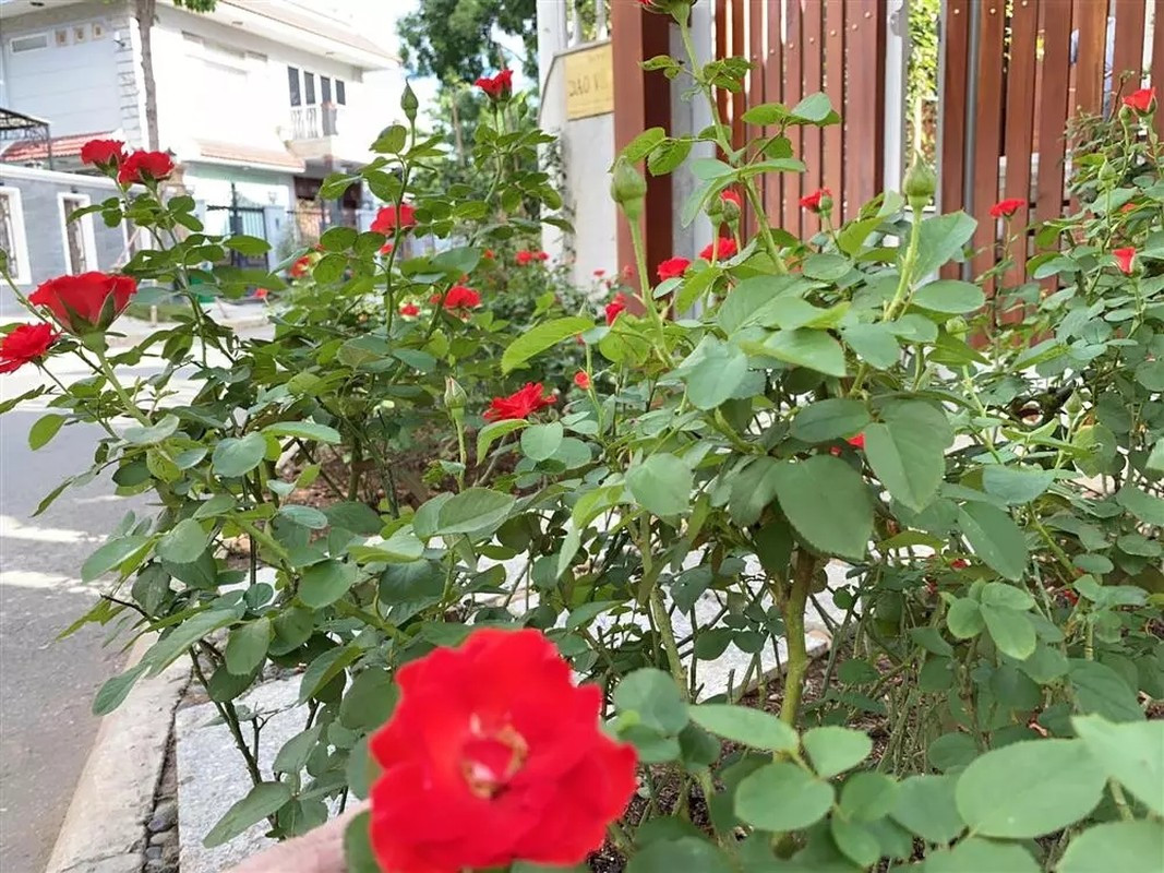 Cơ ngơi triệu đô từng là tổ ấm của Quý Bình và vợ hơn 7 tuổi