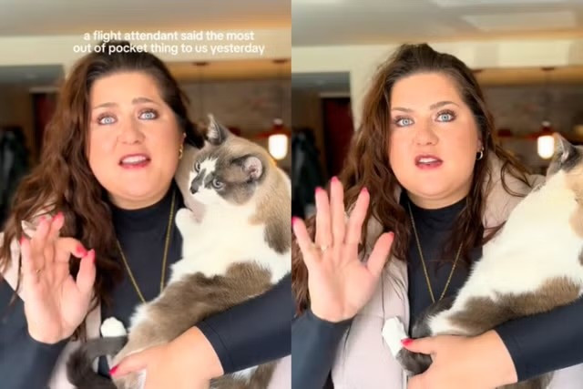 Khách nữ tố tiếp viên hàng không 'bắt' thú cưng im lặng ảnh 1