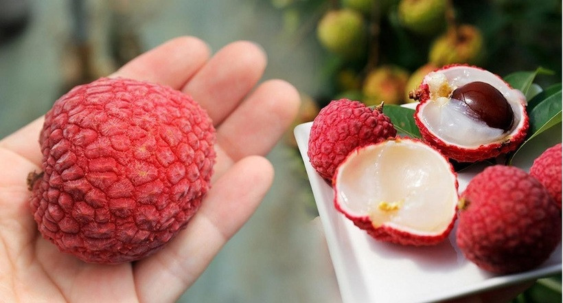 Chính sự khan hiếm này đã đẩy giá thành của vải Gia Lục lên mức