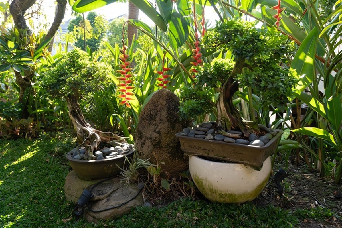 Cuộc sống sang chảnh trong biệt thự nhà vườn gần 20 năm tuổi, mất gần 3 năm mới được xây xong của HH Hà Kiều Anh- Ảnh 34.