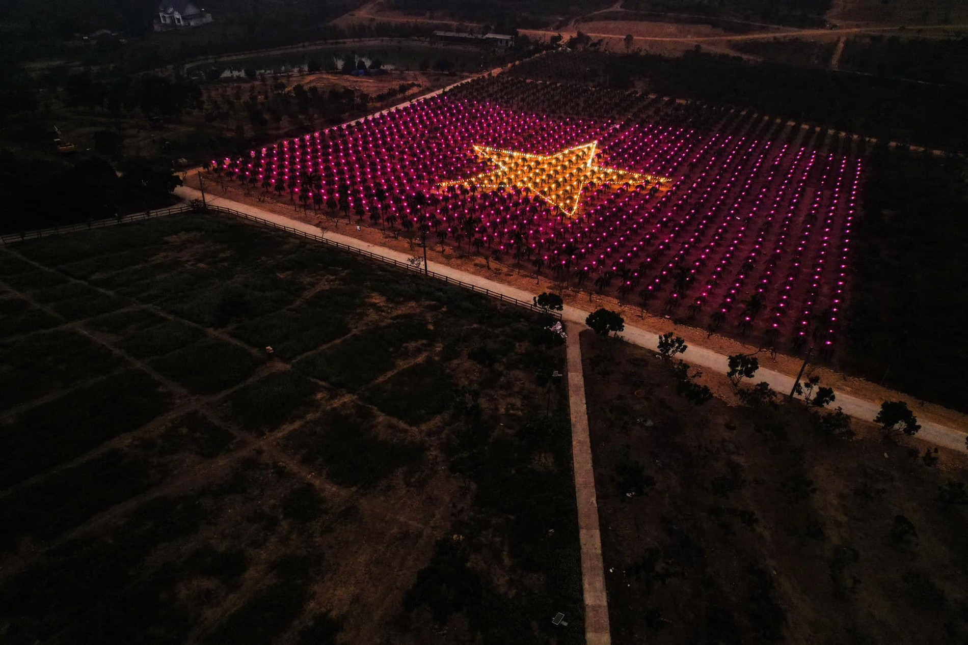 vườn thanh long vĩnh phúc 0.jpg