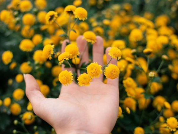 Sau ngày 4/4, 3 con giáp may mắn bất ngờ, 'độc chiếm' Thần Tài, bật công tắc may mắn, TÀI LỘC gia tăng, hút tiền không ngớt về túi - Ảnh 3